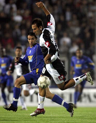 多样性报告发布